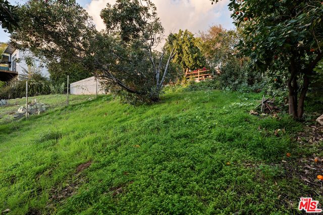 a view of a backyard with plants and a patio