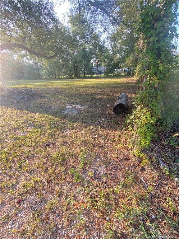 0 Brahman Drive Ragley, LA 70657 - Photo 7 of 9