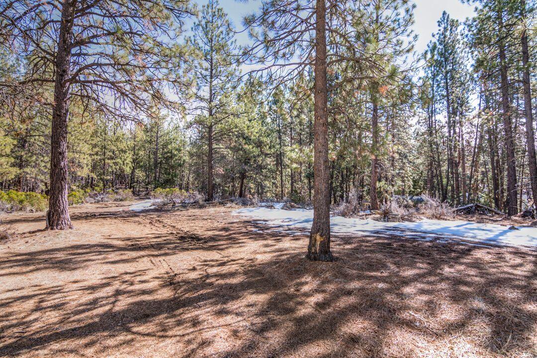 60042 Turquoise Road Bend, OR 97702 - Photo 4 of 11 4