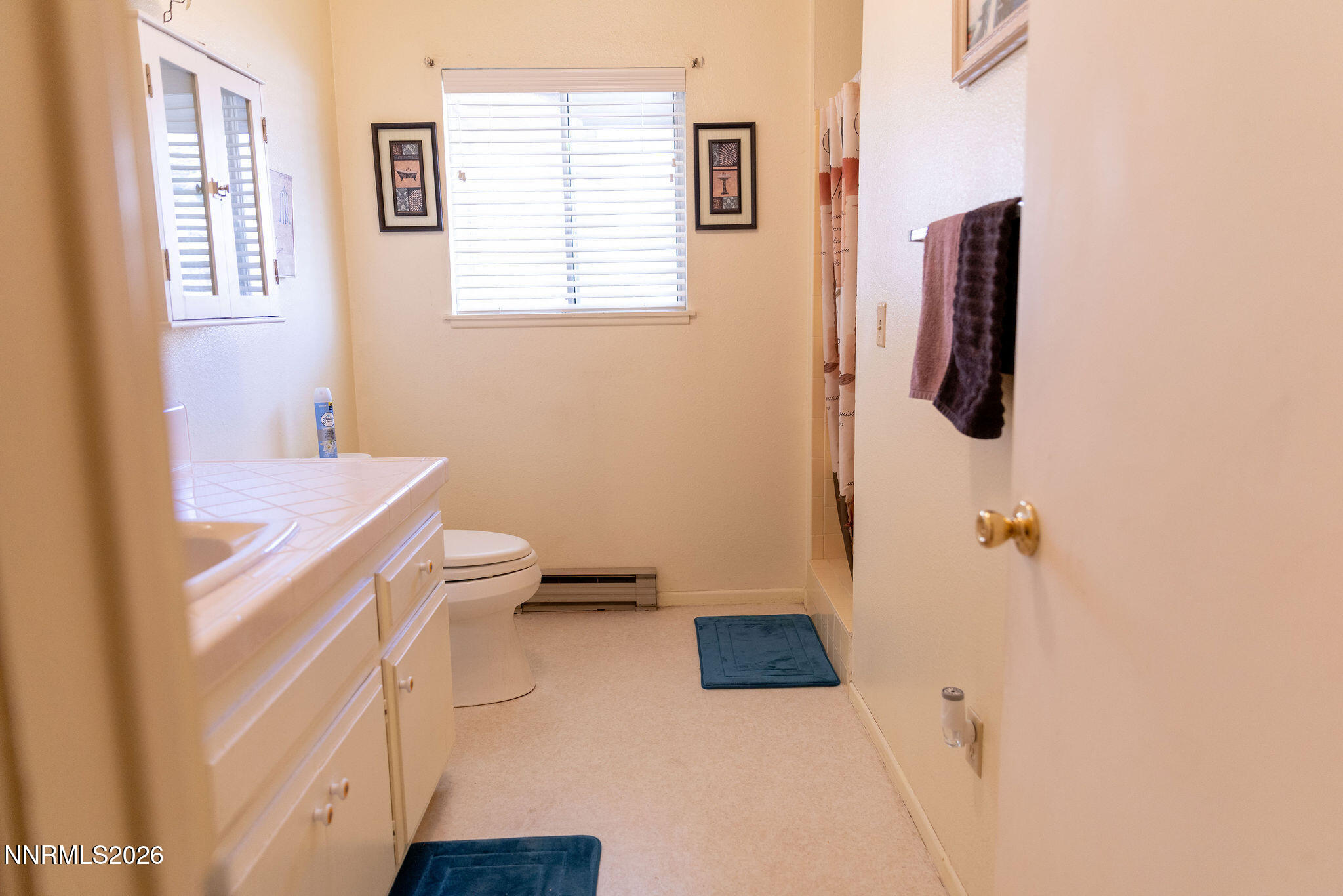 775 Meadow Valley Street Pioche, NV 89043 - Photo 18 of 26 a bathroom with a sink a toilet and shower