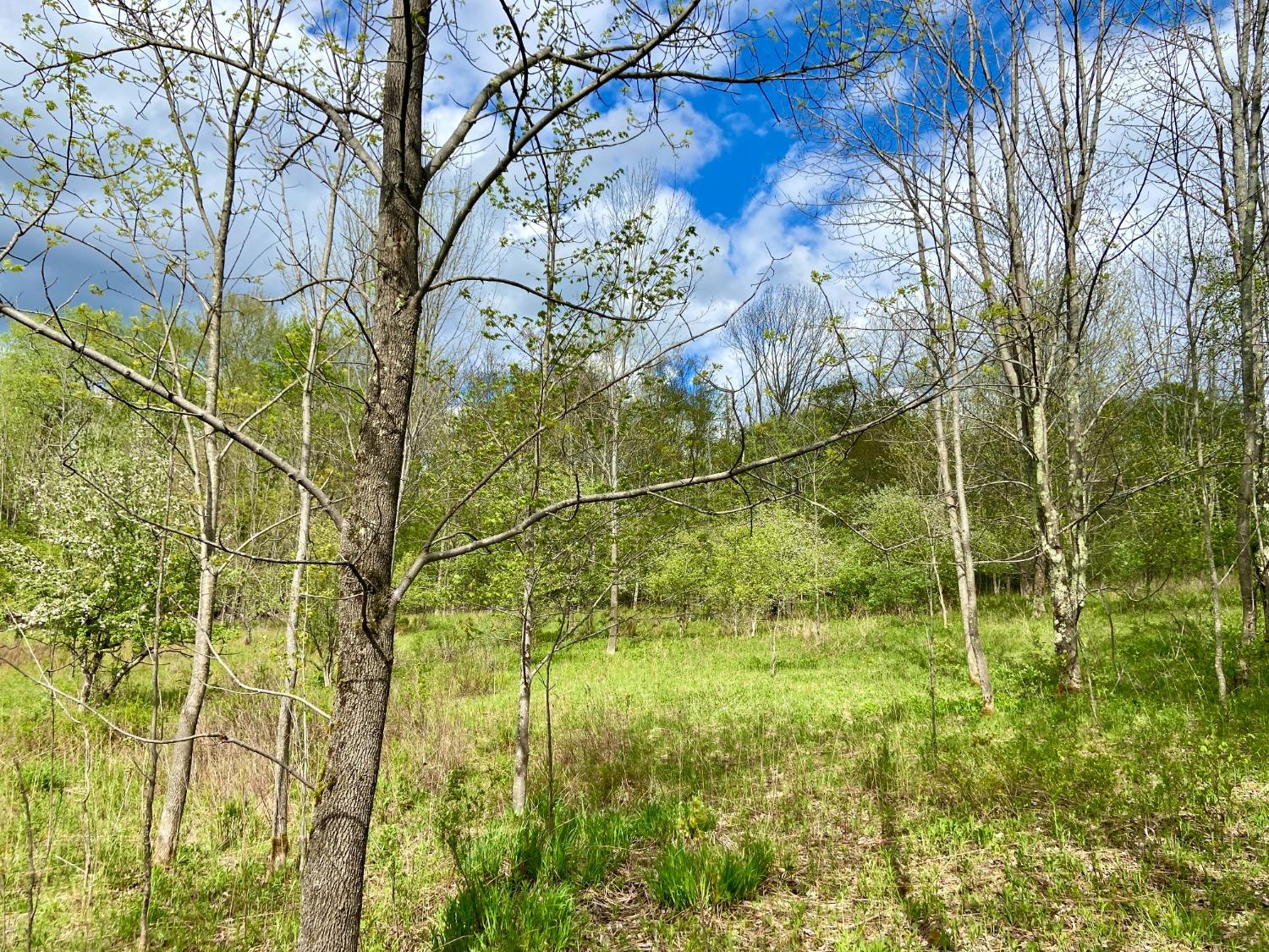 0 Sherwood Road Denver, NY 12421 - Photo 1 of 1