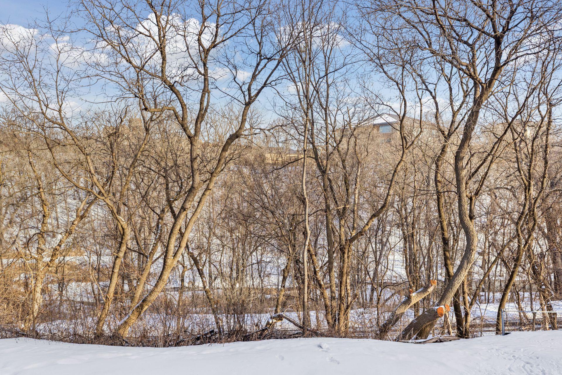 582 Payne Avenue St. Paul, MN 55130 - Photo 14 of 41