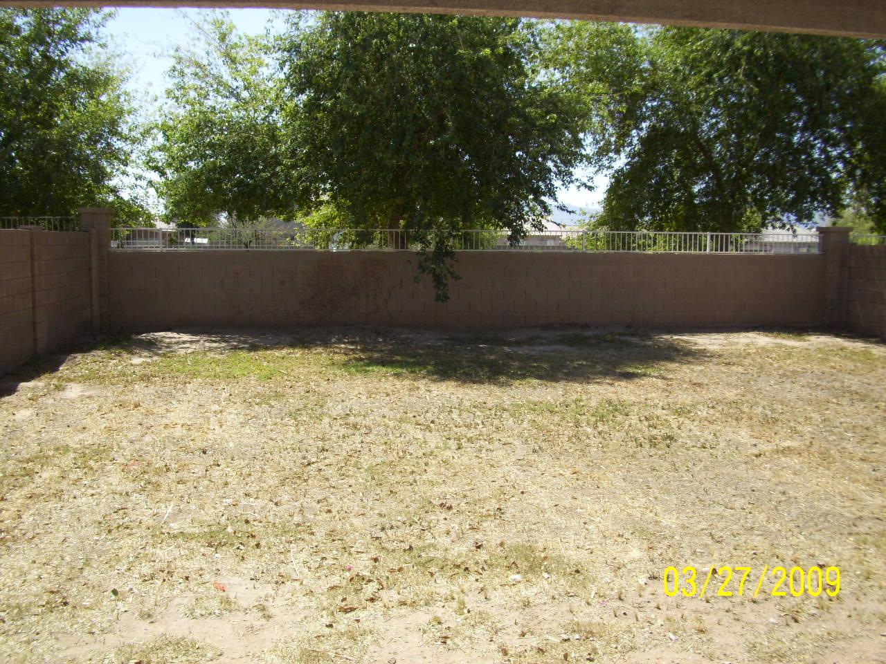 6407 West Cordes Road Phoenix, AZ 85043 - Photo 8 of 9 BACKYARD