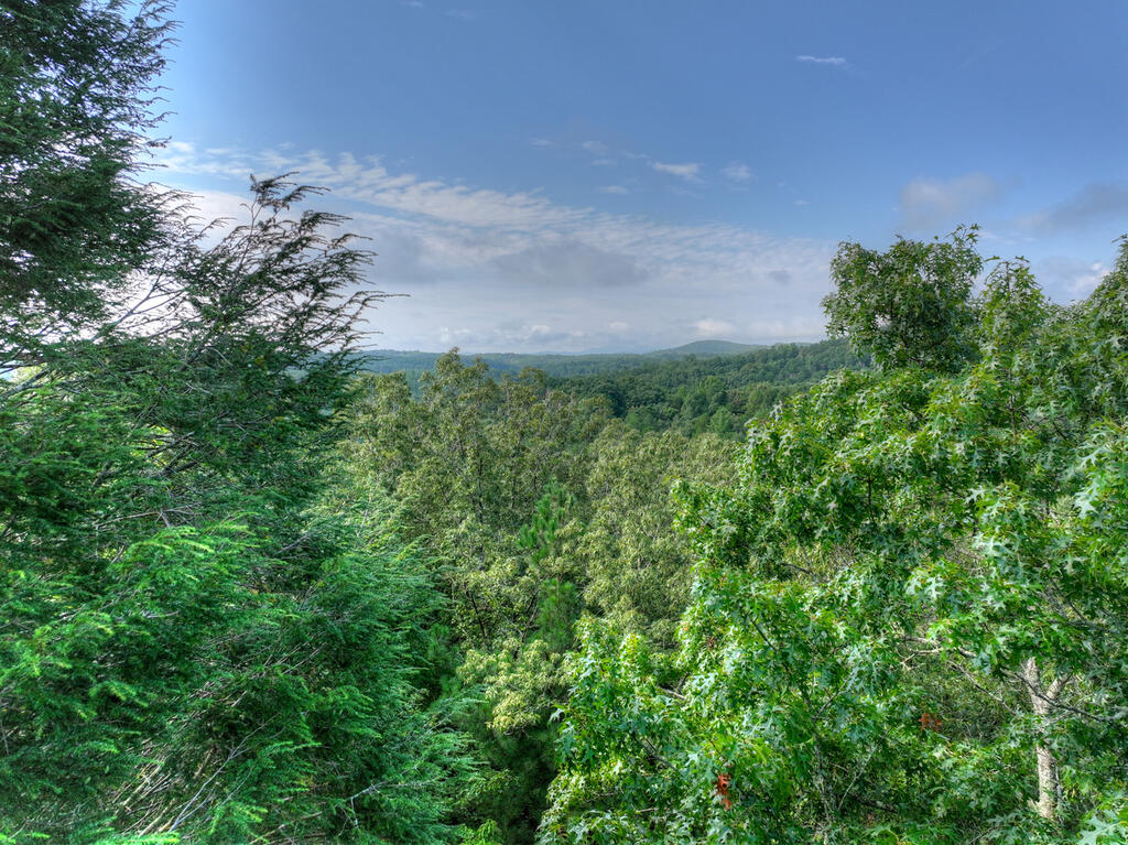 0 Andeburg Hollow Road Copperhill, TN 37317 - Photo 10 of 13 Gallery Image 10