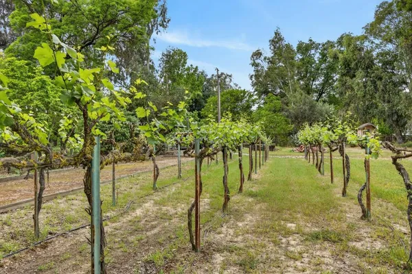 $1,550,000 | 35670 Yellowstone Avenue, Davis, CA 95616