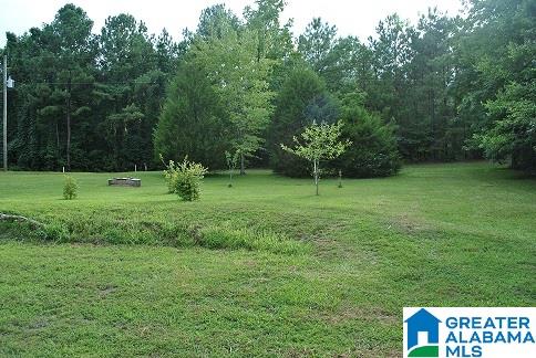90 Old Church Road Lineville, AL 36266 - Photo 7 of 9