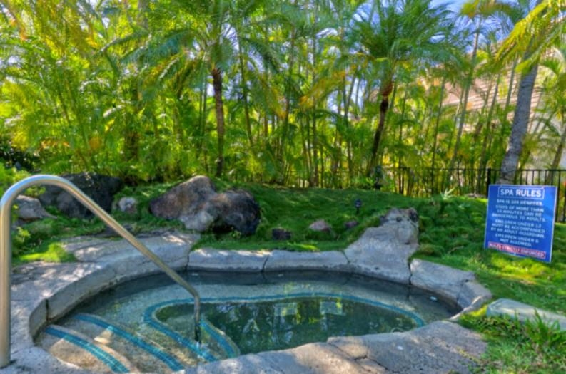 2777 South Kihei Road, Unit D109 Kihei, HI 96753 - Photo 49 of 50 a small yard with plants and large trees