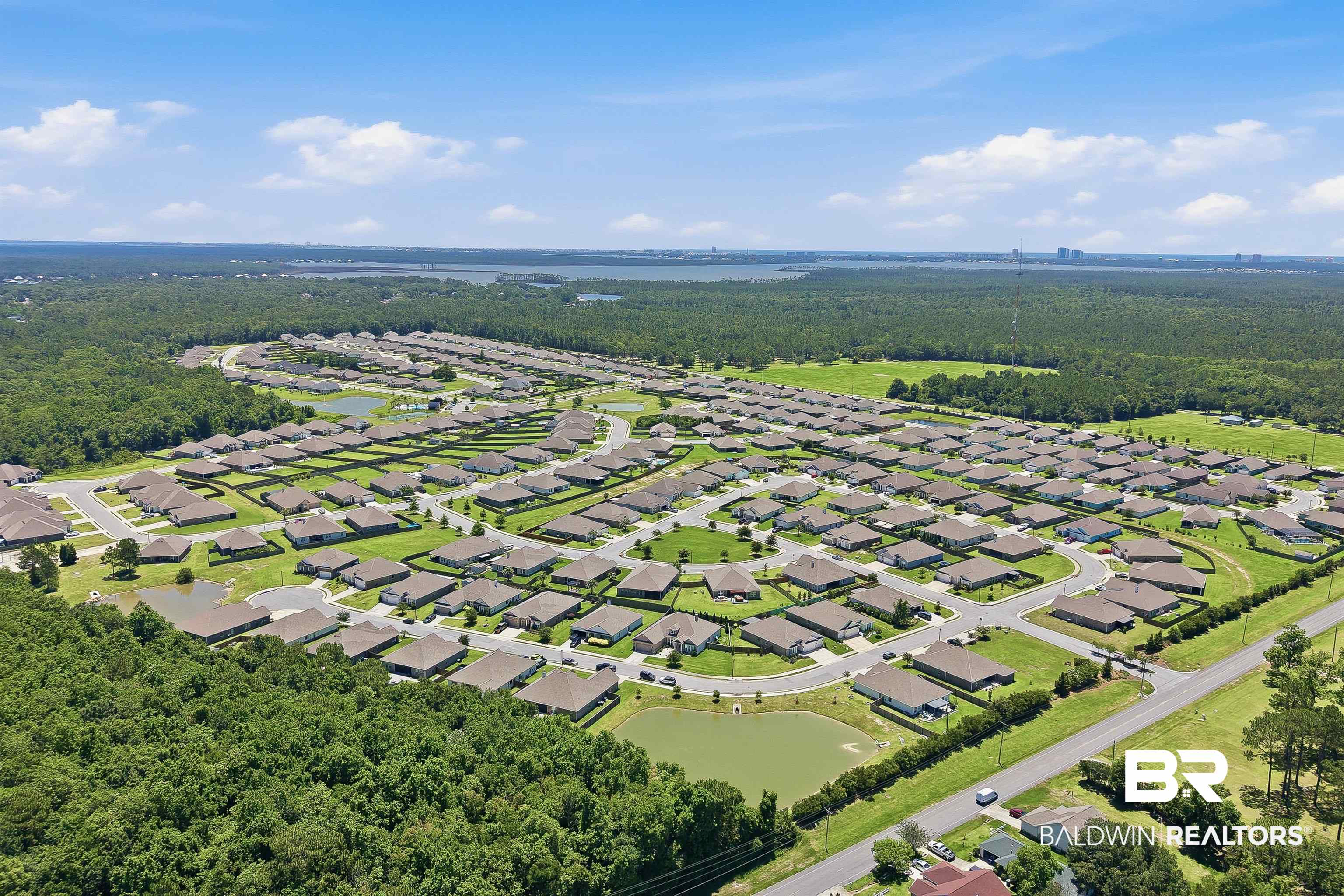 8735 Bronze Lane Foley, AL 36535 - Photo 56 of 58 Expansive aerial view showcasing a developed residential community with numerous single-story homes, surrounded by abundant green spaces and natural foliage