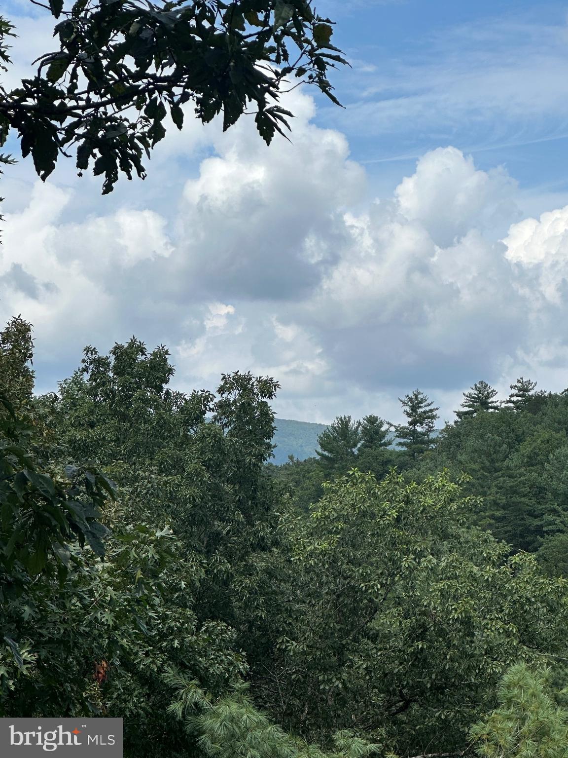 20 East Walls Ridge Road Basye, VA 22810 - Photo 2 of 8