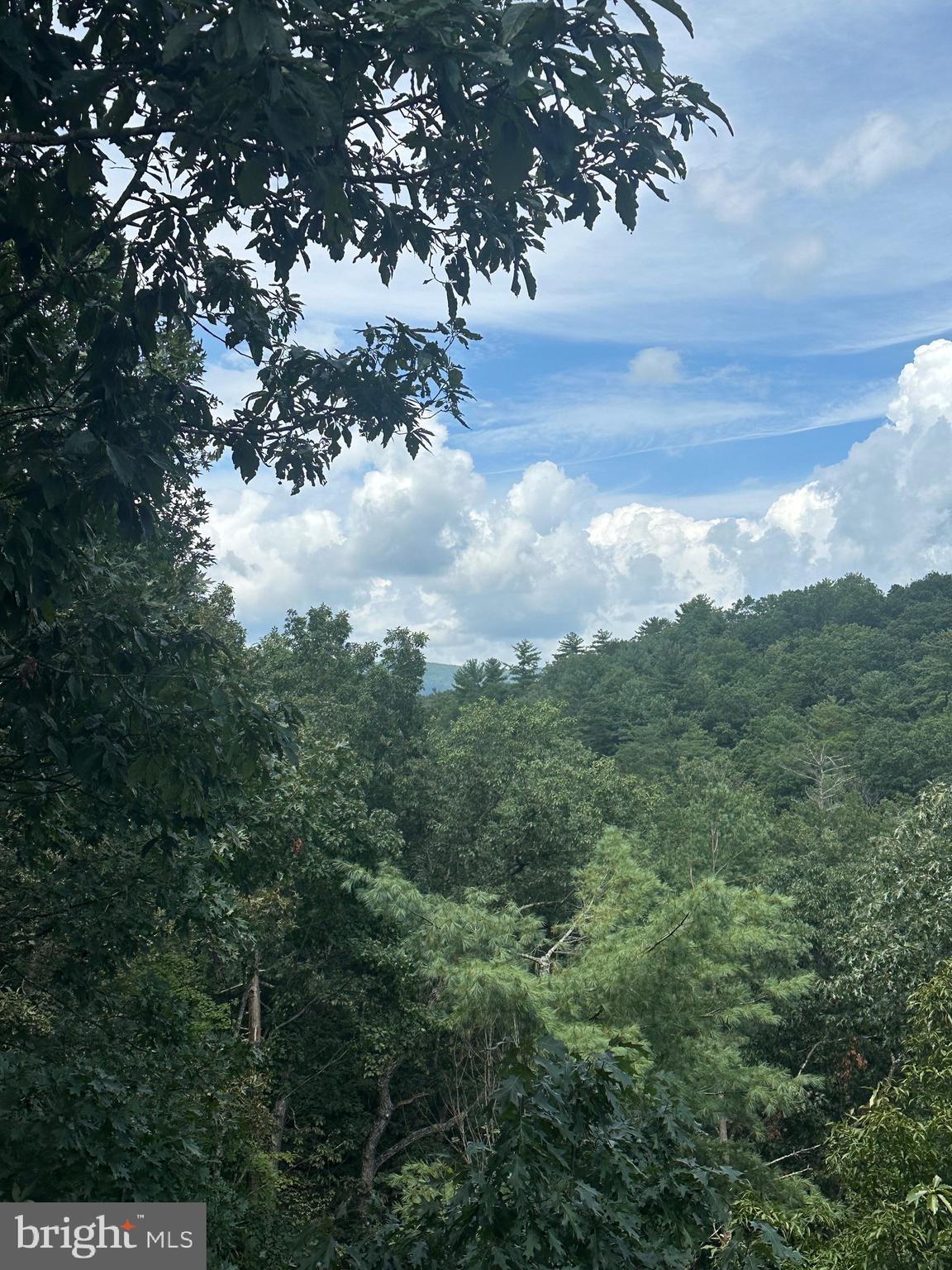 20 East Walls Ridge Road Basye, VA 22810 - Photo 3 of 8