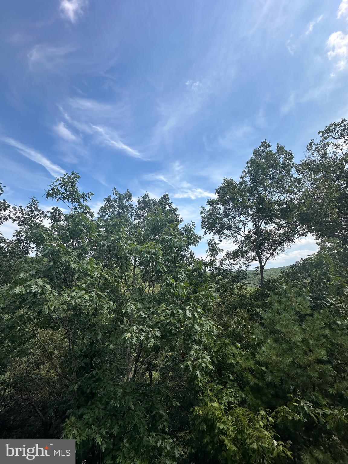 20 East Walls Ridge Road Basye, VA 22810 - Photo 4 of 8