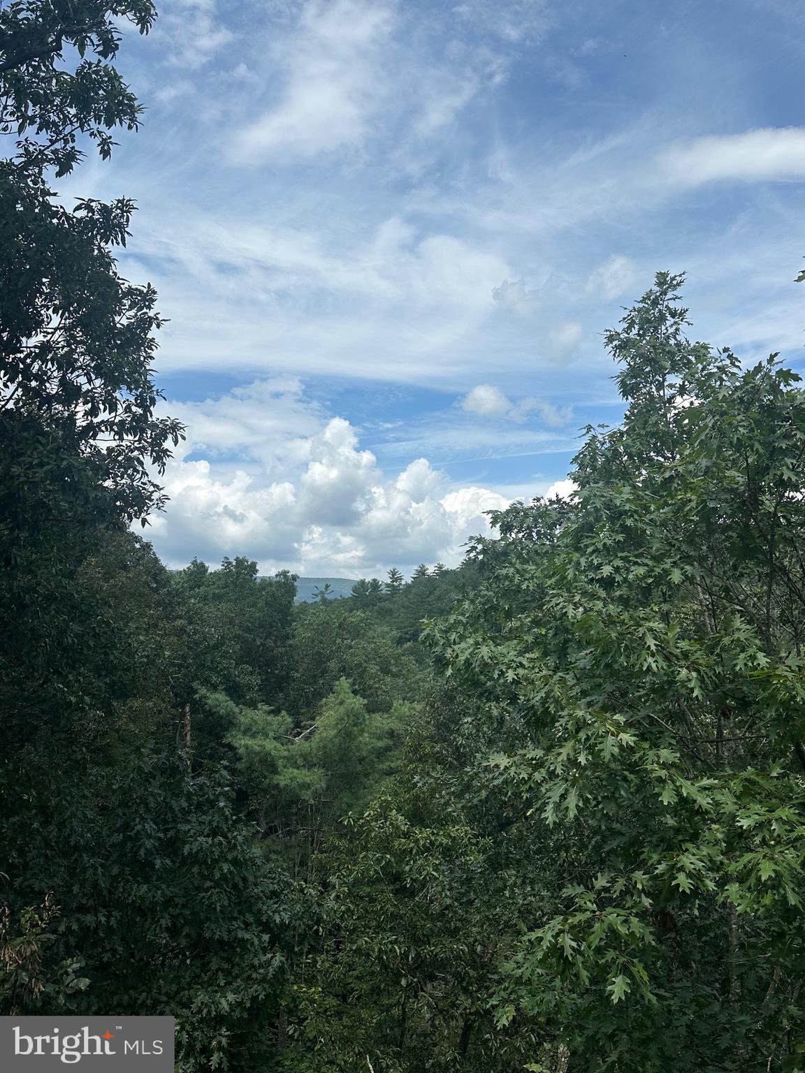 20 East Walls Ridge Road Basye, VA 22810 - Photo 5 of 8