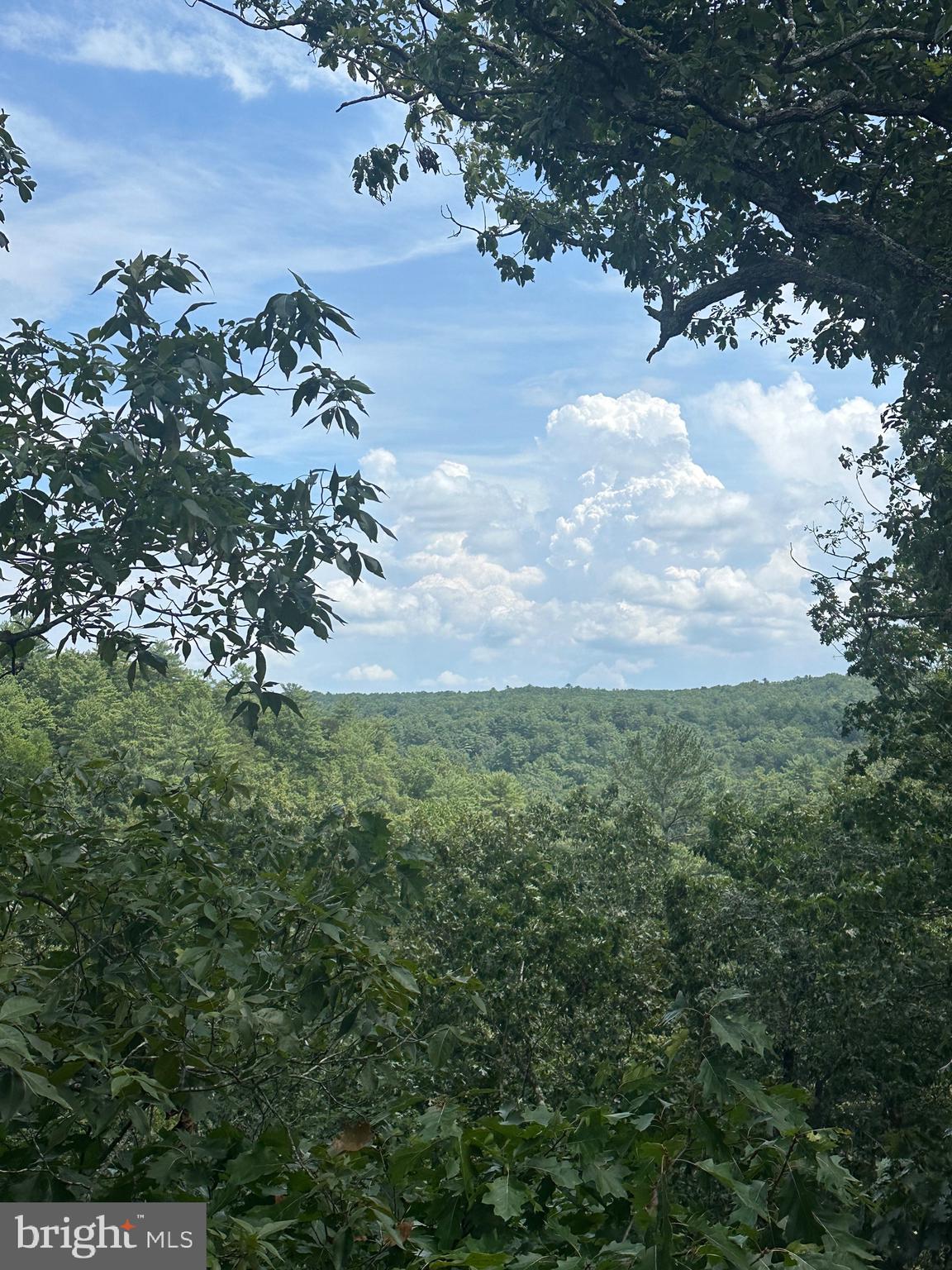 20 East Walls Ridge Road Basye, VA 22810 - Photo 6 of 8