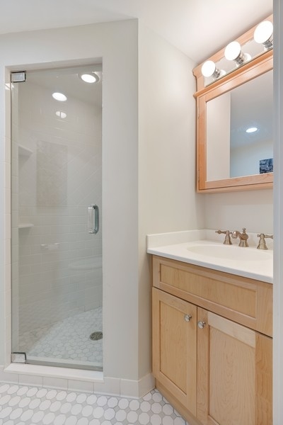 727 Indian Road Glenview, IL 60025 - Photo 40 of 58 a bathroom with a shower sink vanity and mirror