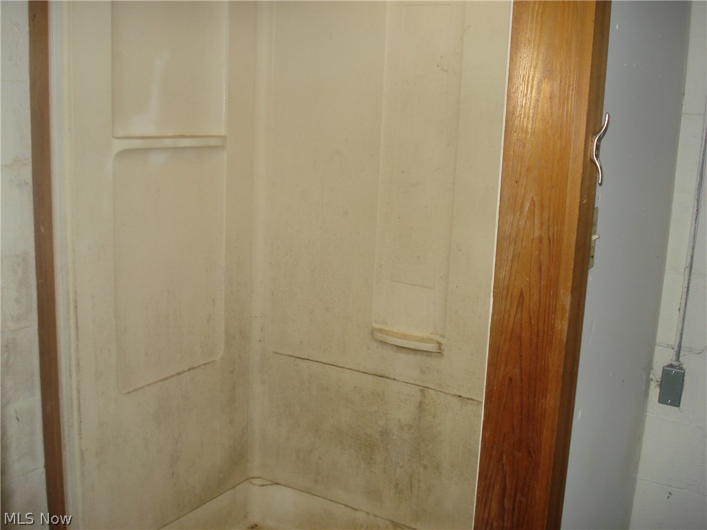7342 Hopkins Road Mentor, OH 44060 - Photo 42 of 49 shower in basement