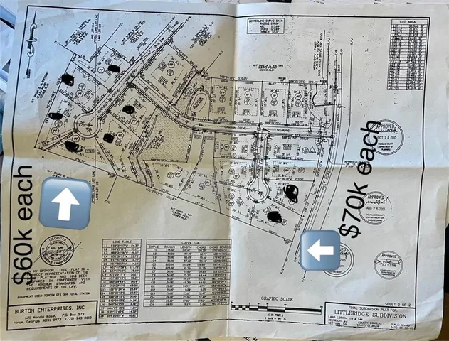 a view of a forest with trees in front of it