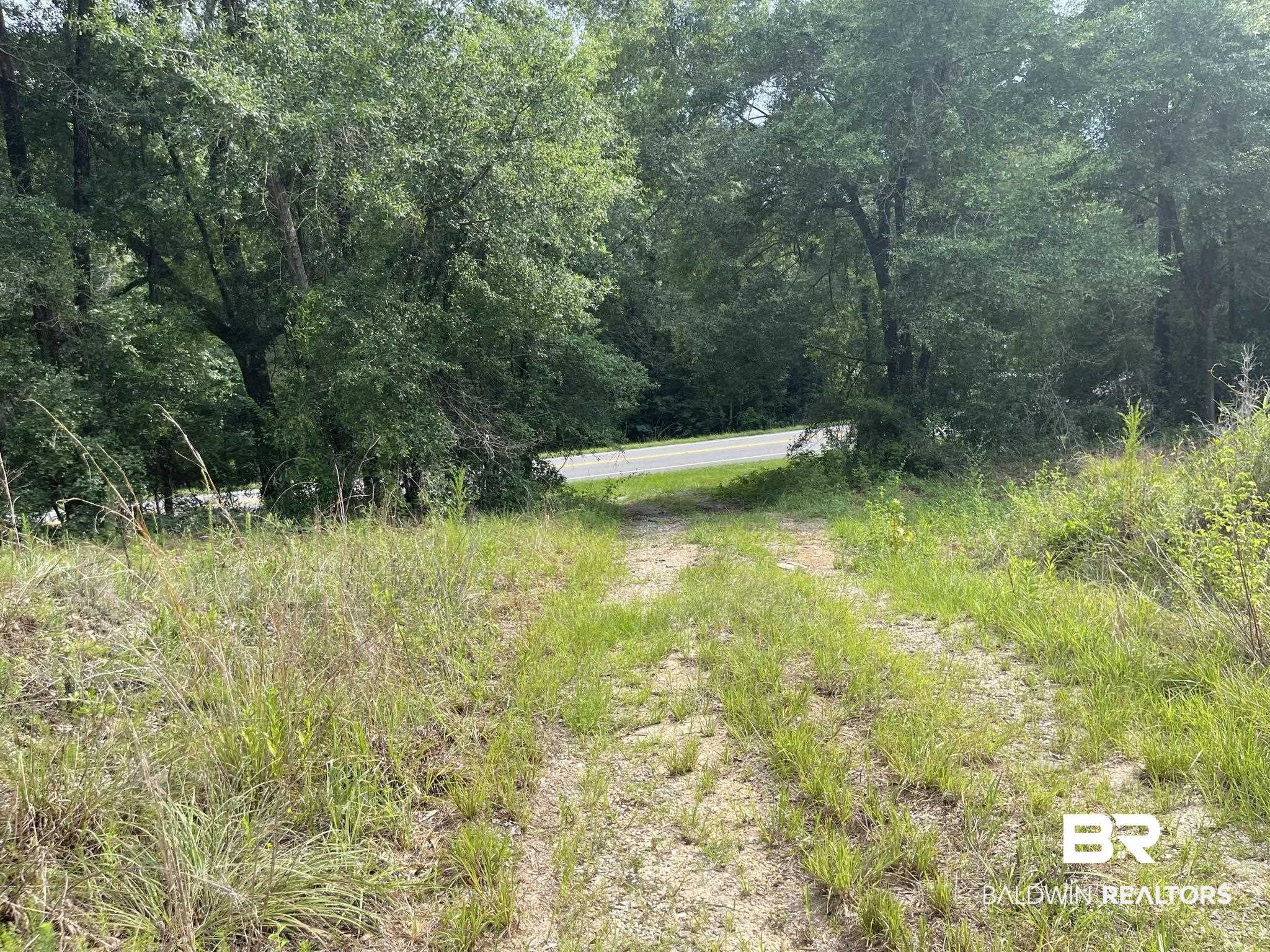 1 Highway 4 Jay, FL 32565 - Photo 3 of 50
