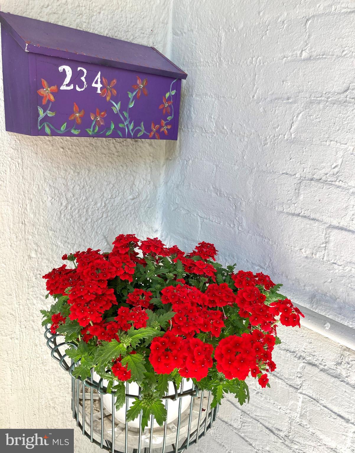234 10th Street Northeast Washington, DC 20002 - Photo 35 of 49 Behind this door is a Urban Farmhouse 20' wide!
