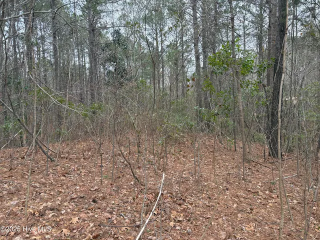 $31,000 | 211 Green Trees Drive, New Bern, NC 28560