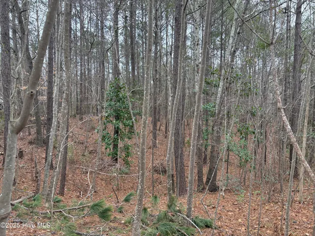 $31,000 | 211 Green Trees Drive, New Bern, NC 28560