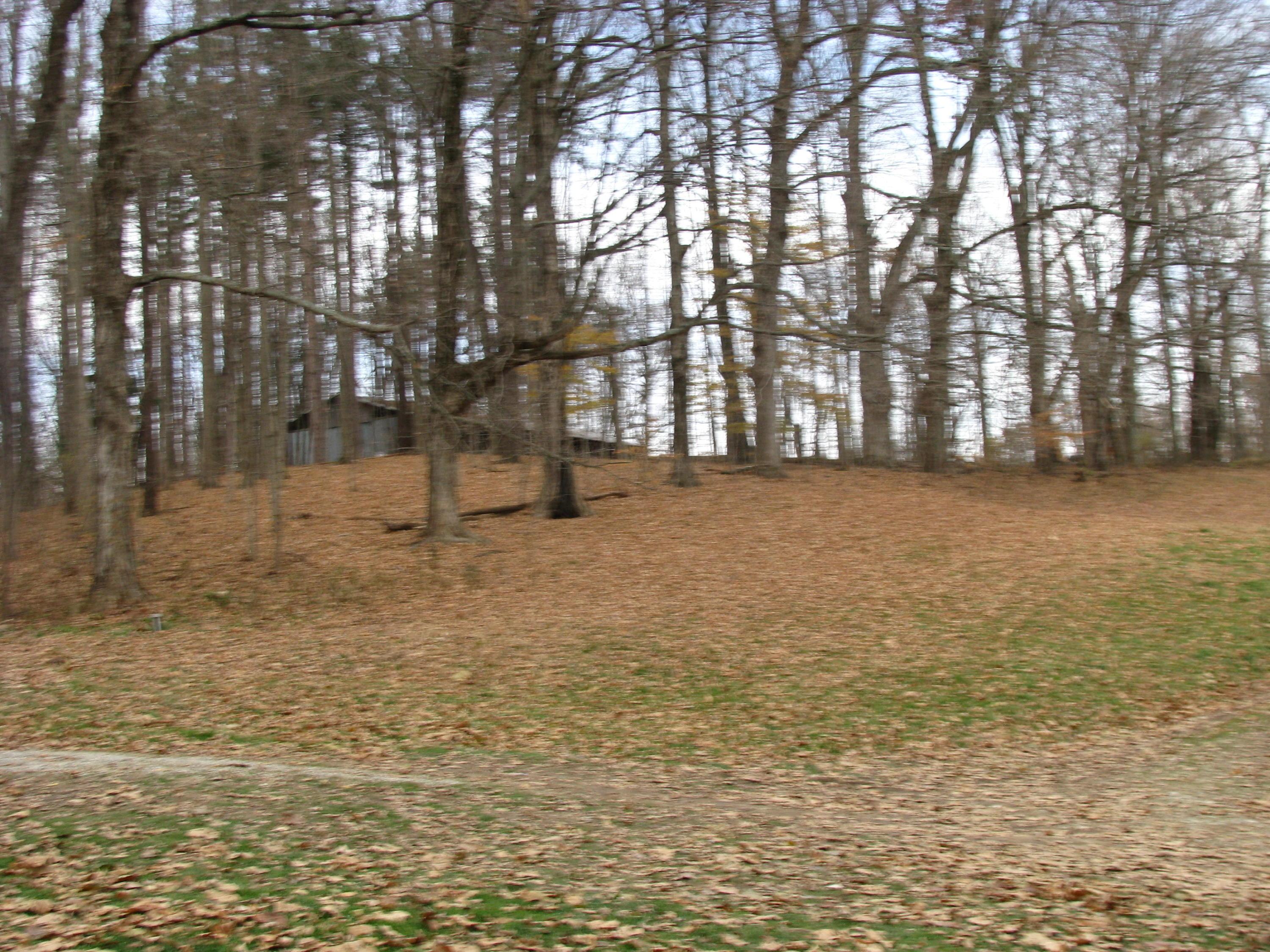 8729 Wince Road Northeast Newark, OH 43055 - Photo 14 of 26 Gallery Image 14