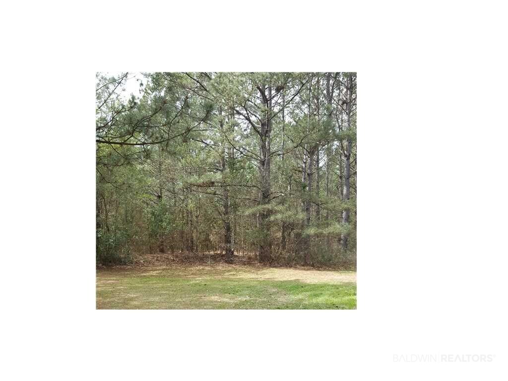 0 Lott Cemetery Road Chunchula, AL 36521 - Photo 1 of 1