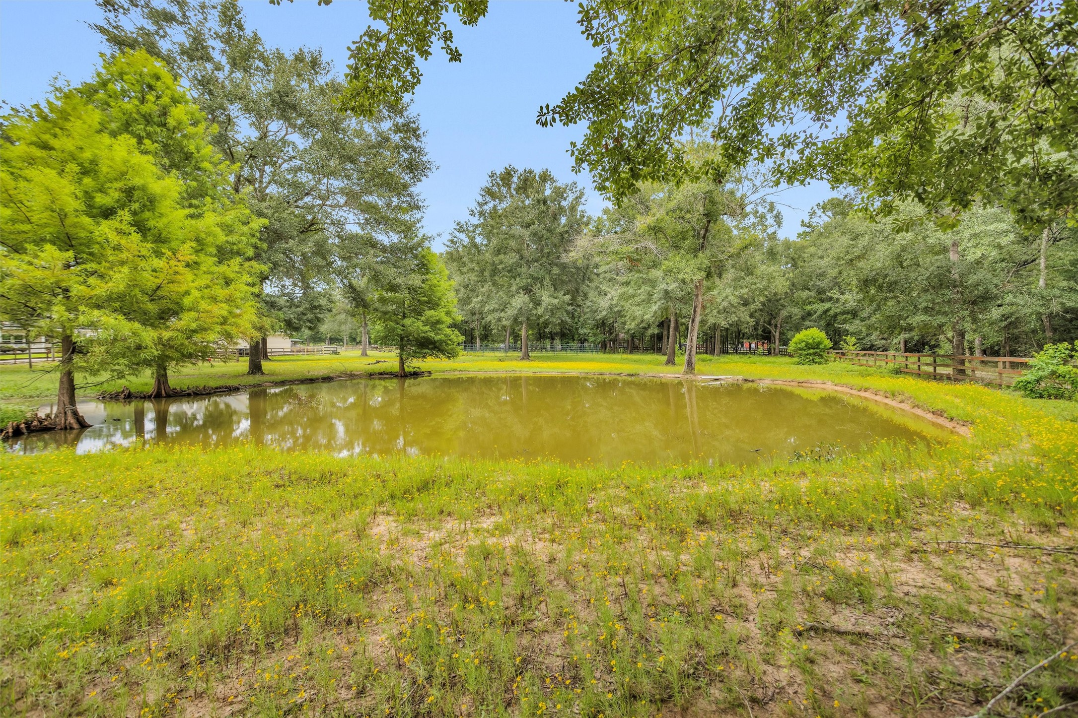 30820 Collier Smith Road Magnolia, TX 77354 - Photo 45 of 50
