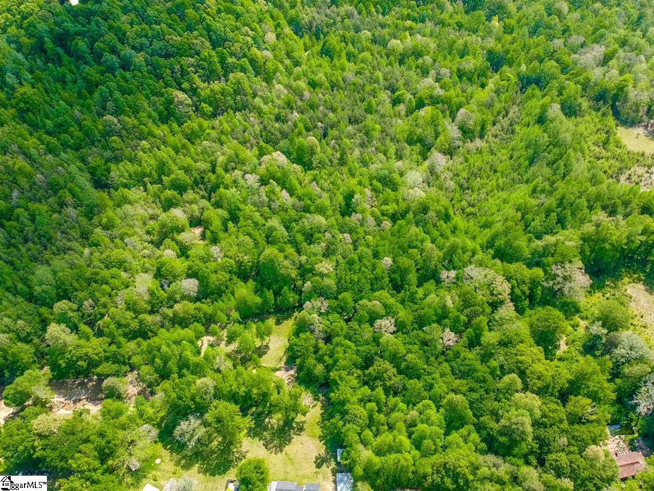 468 Bates Crossing Road Travelers Rest, SC 29690 - Photo 5 of 6