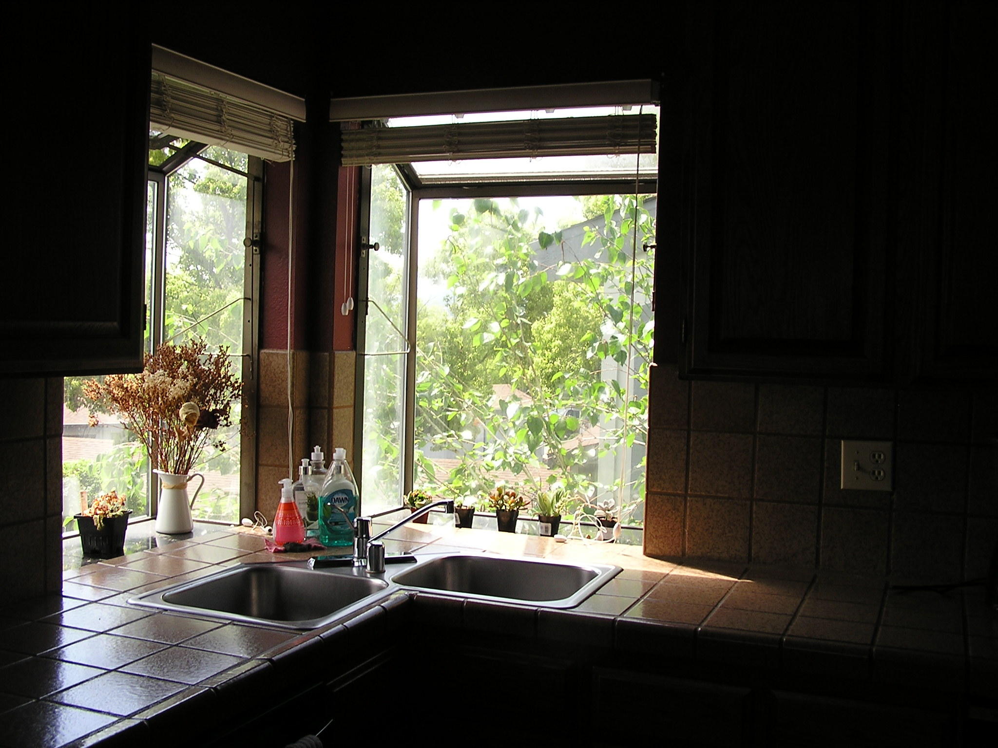 Garden Window