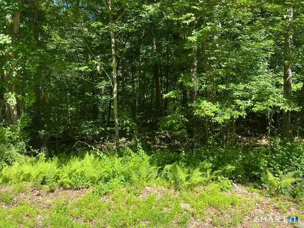 $125,000 | Middle Turnpike, Storrs Mansfield, CT 06268