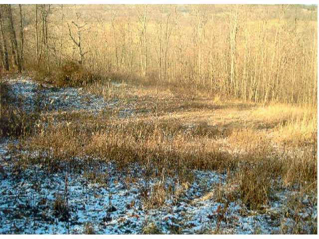 Lot 21 Rough And Ready Road New Concord, OH 43762 - Photo 1 of 1