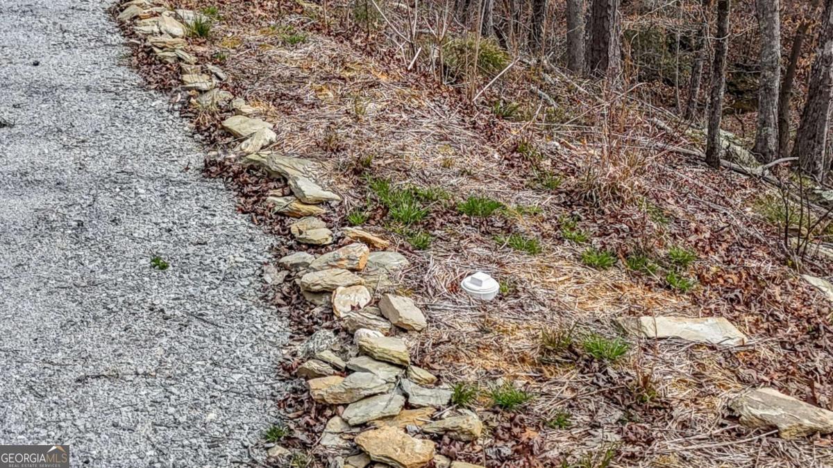 0 Felton Rockmart Road Buchanan, GA 30113 - Photo 13 of 47
