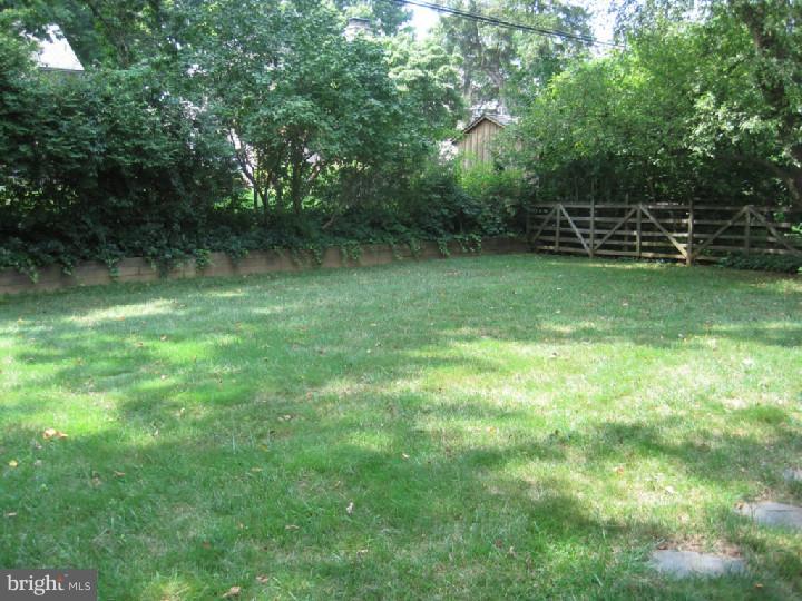 718 Argyle Road Wynnewood, PA 19096 - Photo 4 of 14 Back Yard