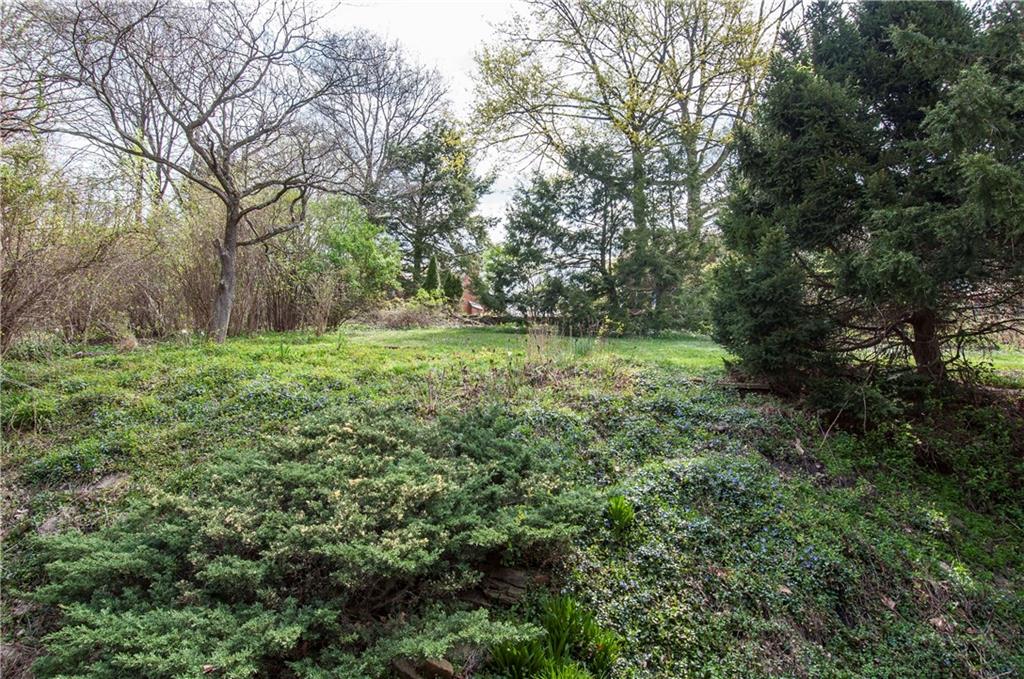 235 Woodside Road Forest Hills, PA 15221 - Photo 19 of 22 Backyard