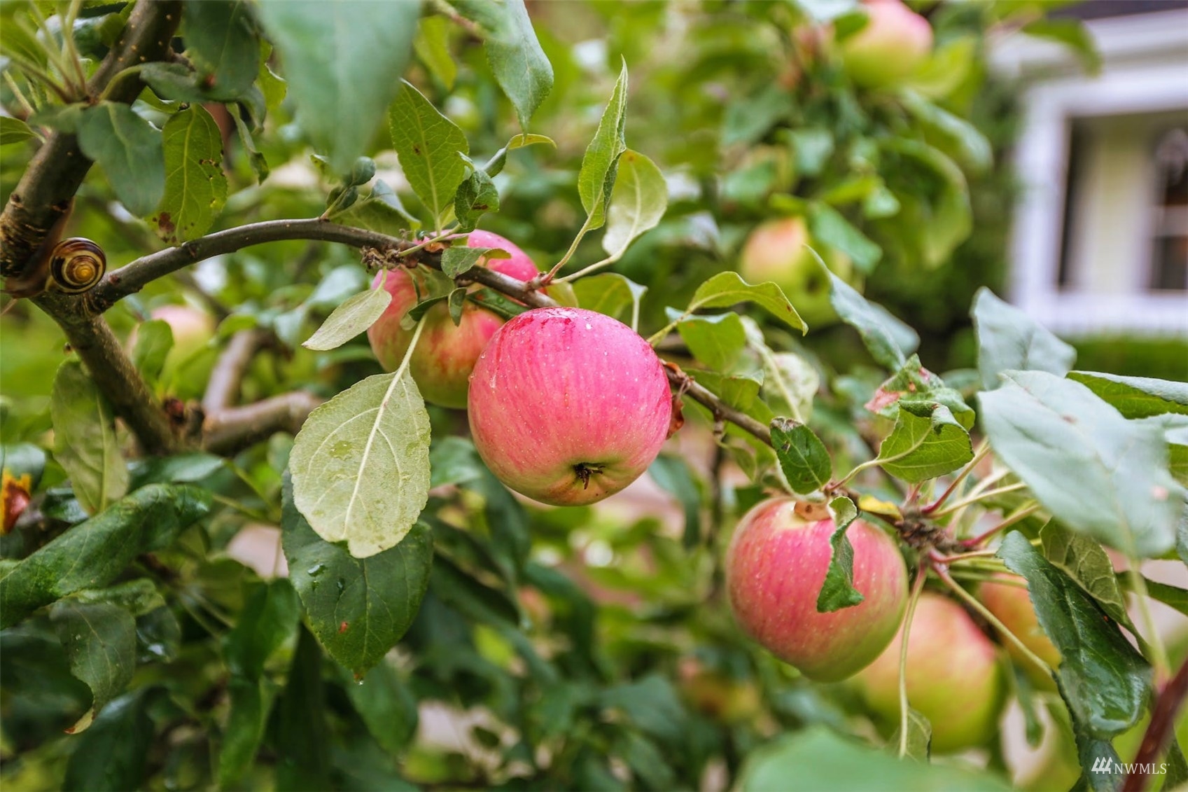 1912 Rucker Avenue Everett, WA 98201 - Photo 37 of 38