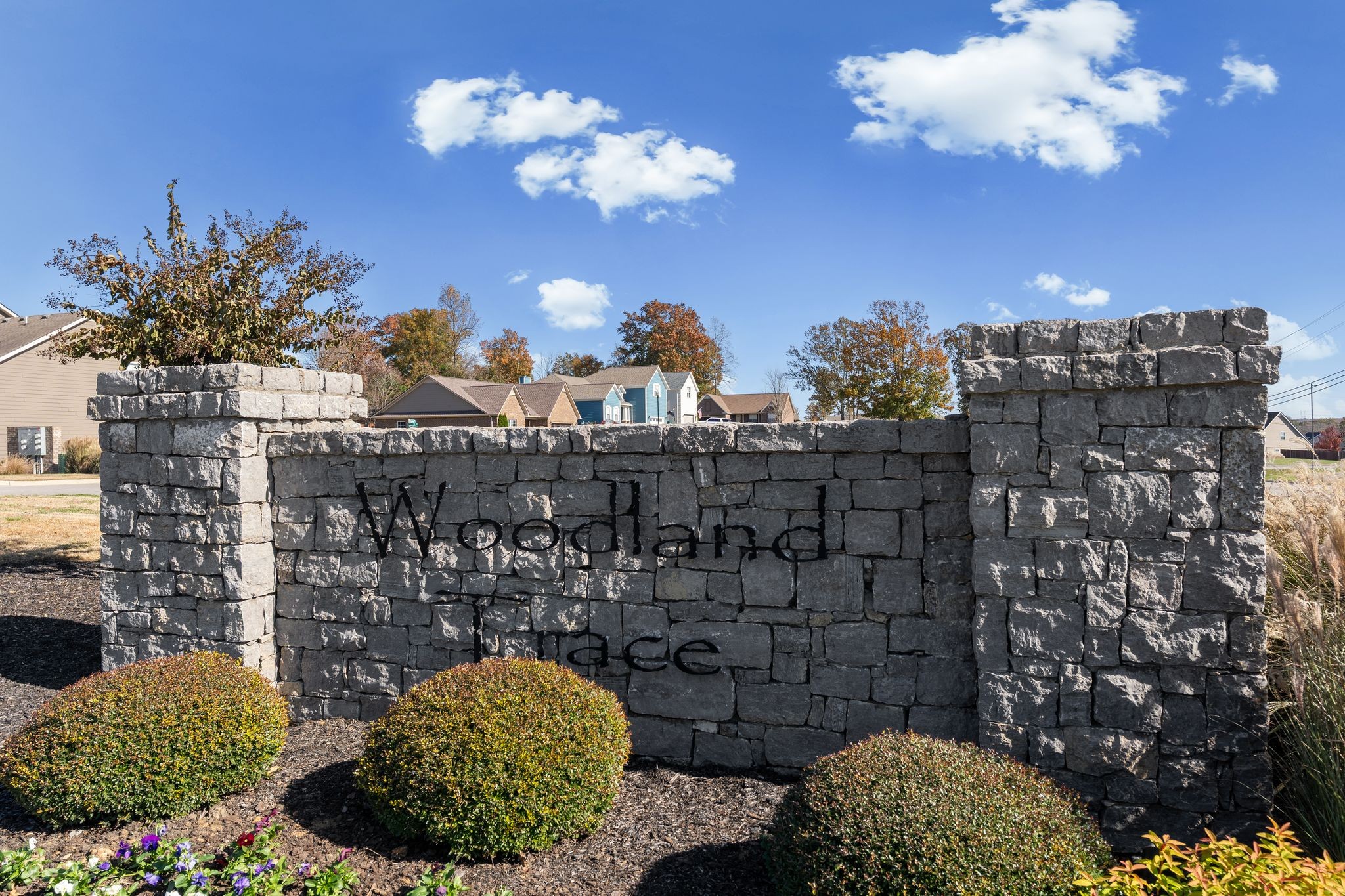 4020 Commons Drive Spring Hill, TN 37174 - Photo 35 of 37 a view of a flower room with a large tree