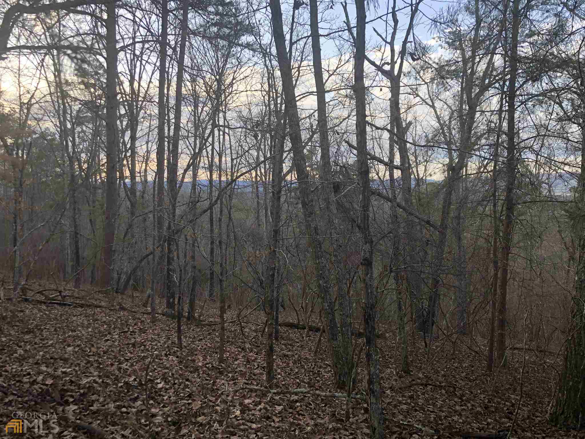 0 Hidden Ridge Drive Rome, GA 30165 - Photo 8 of 15