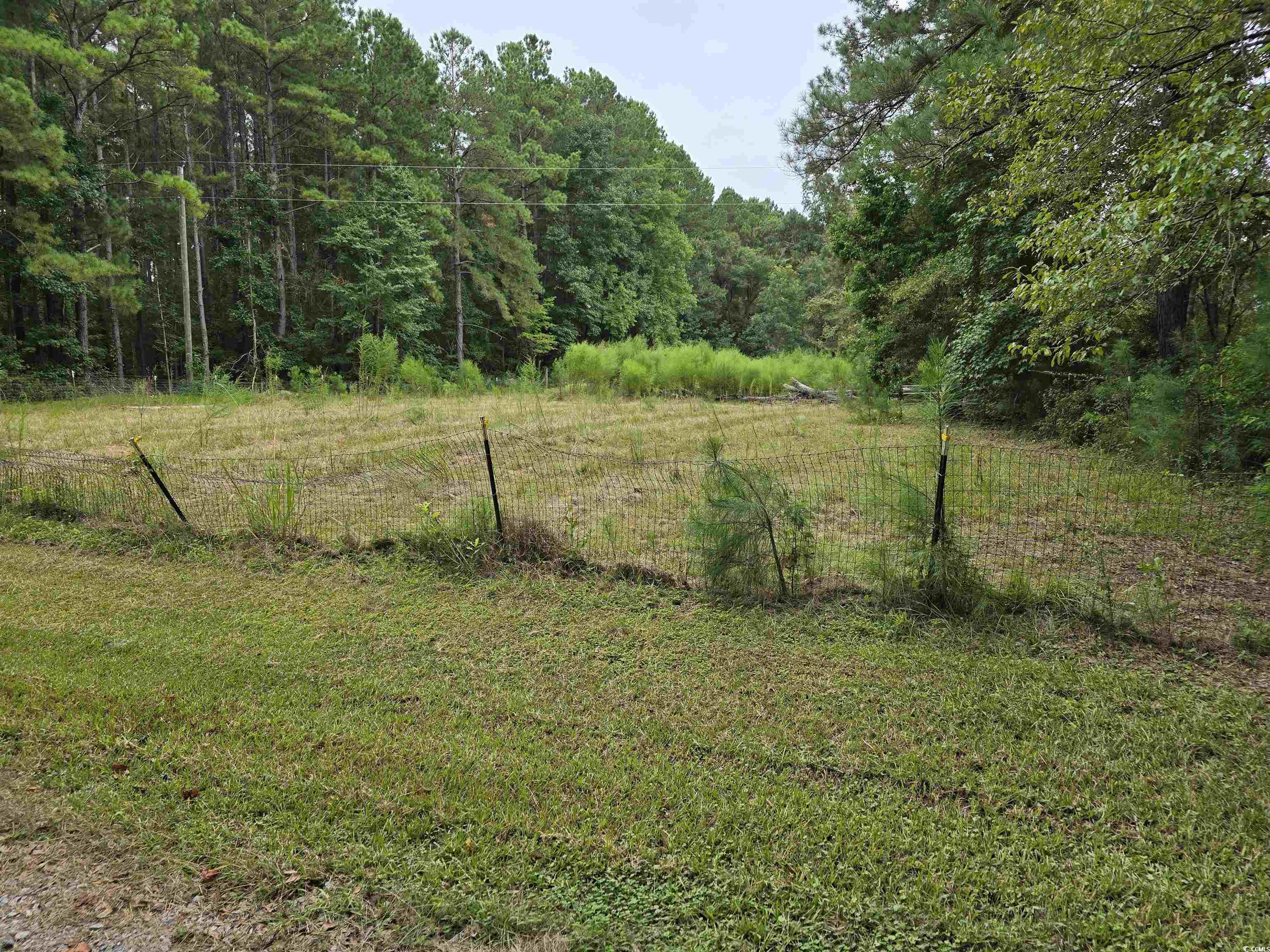 73 Porter Road Georgetown, SC 29440 - Photo 21 of 24 Pasture along Porter Road to the left of the house