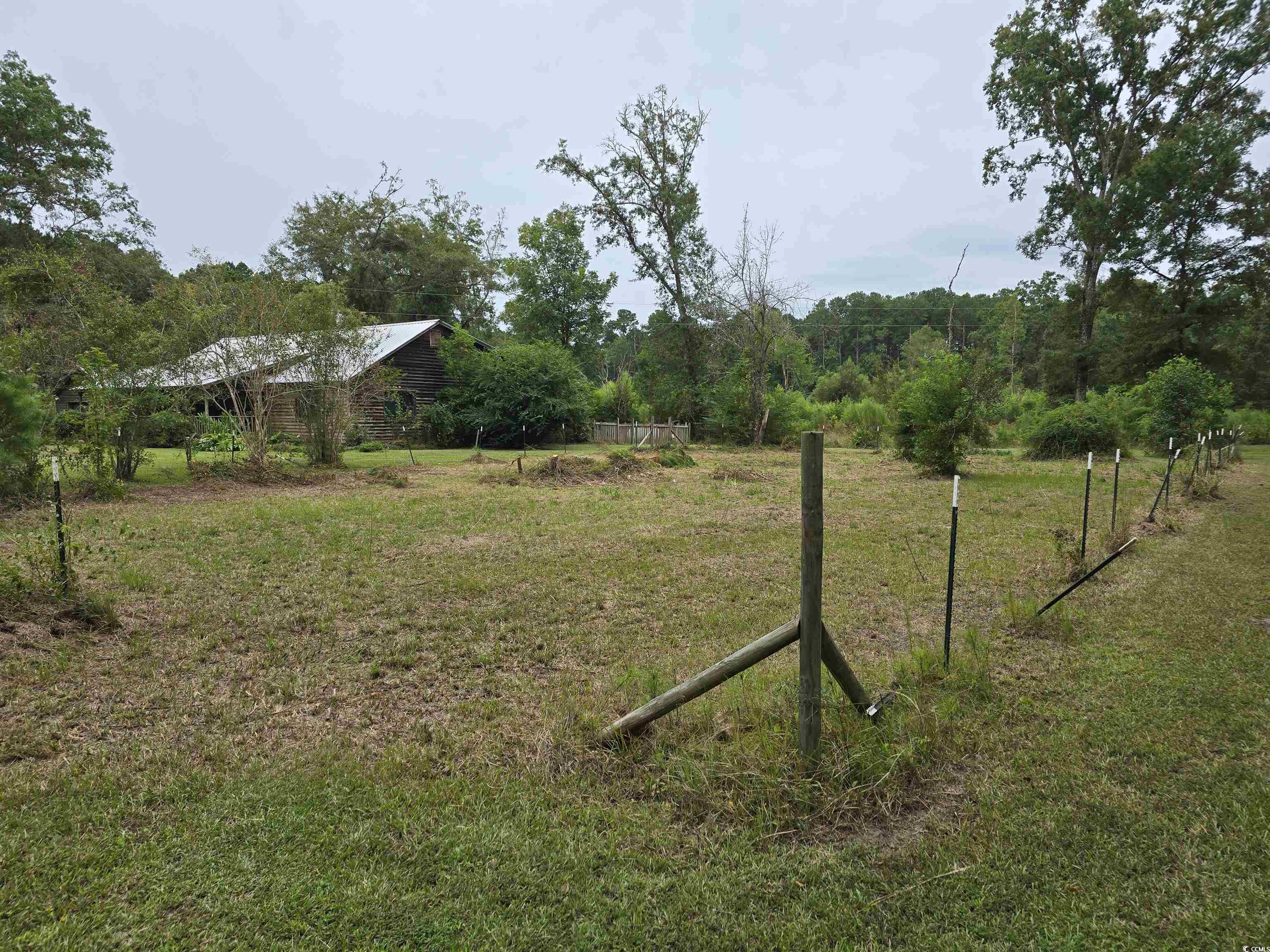 73 Porter Road Georgetown, SC 29440 - Photo 22 of 24 View of yard on the right side of the home from th