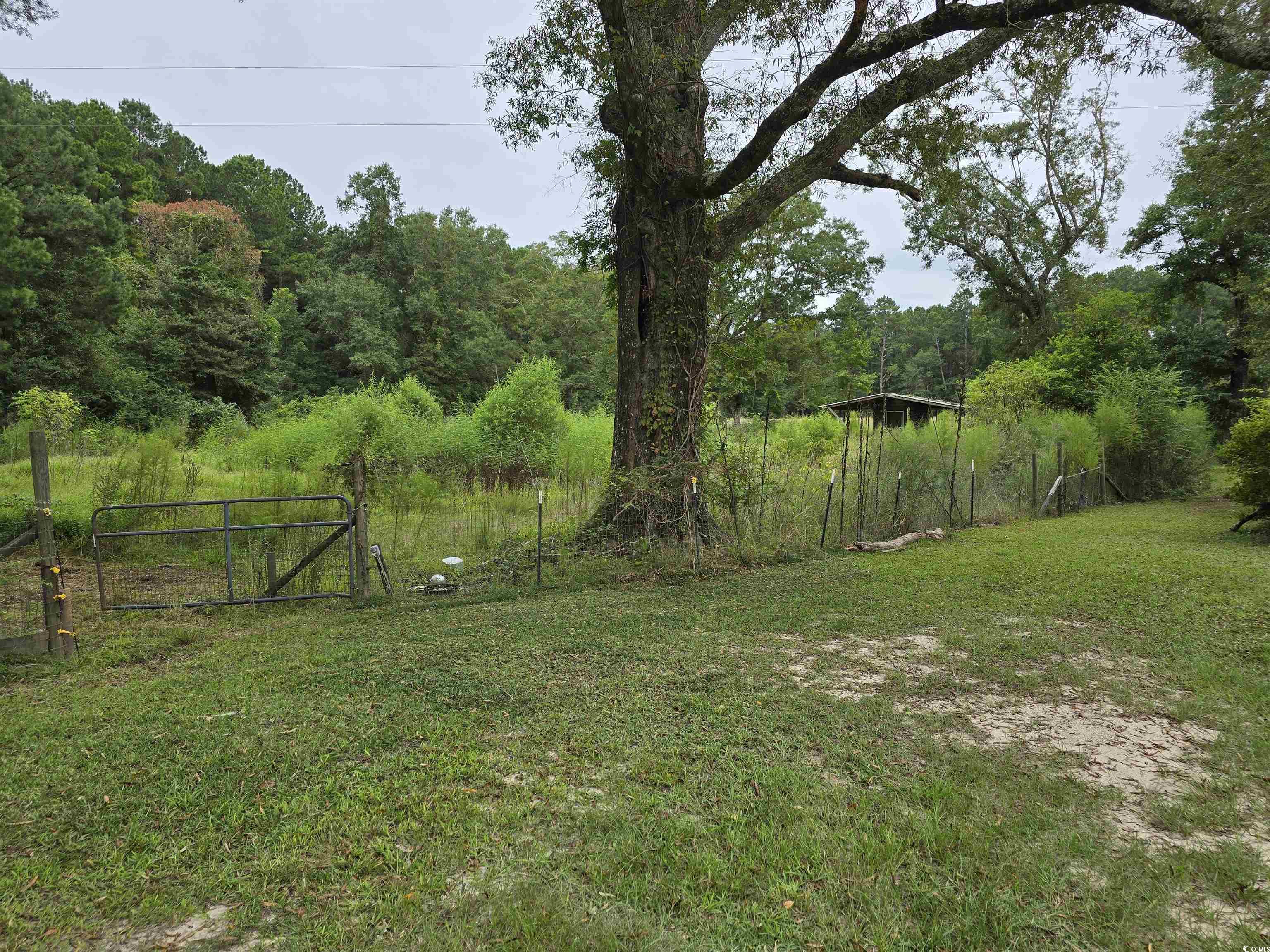 73 Porter Road Georgetown, SC 29440 - Photo 23 of 24 Pasture on the left side of the house