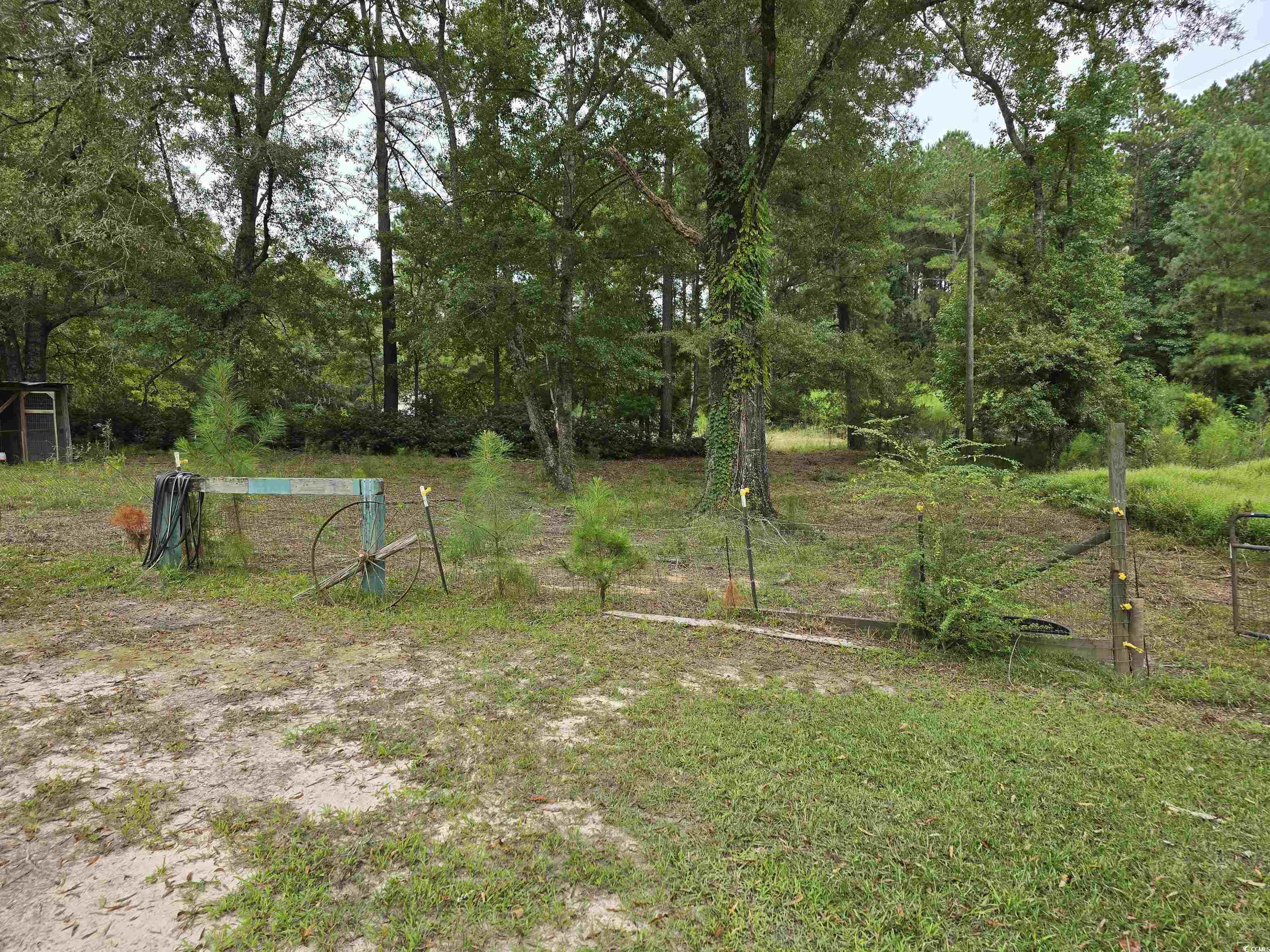 73 Porter Road Georgetown, SC 29440 - Photo 24 of 24 Pasture on the front left side