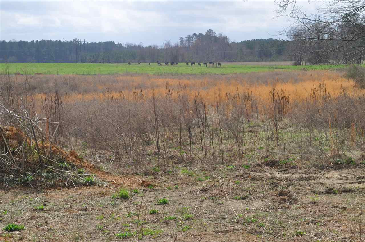 1631 Gordon Road Clayton, NC 27520 - Photo 7 of 7 Photo 7