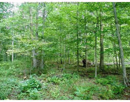 Land/Lot.