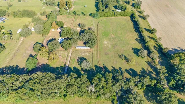 a view of a garden with a flower in a garden