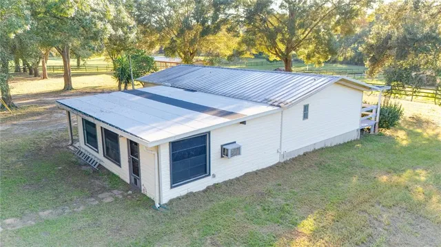 a close up of a plant in a garden
