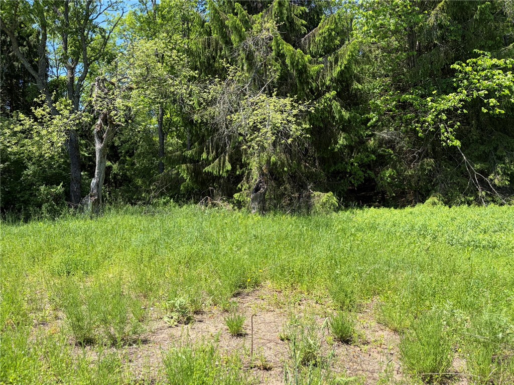 1369 Military Road Salisbury, NY 13365 - Photo 21 of 24