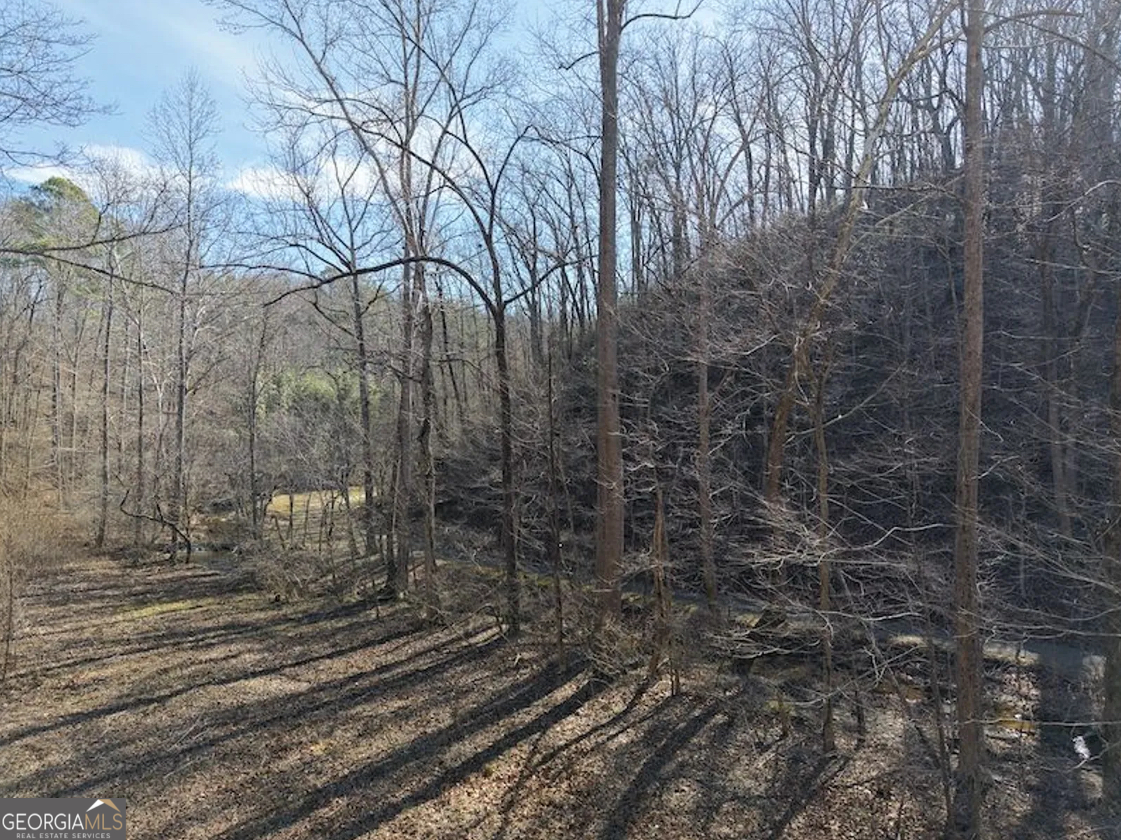 3 Rambling Road Fairmount, GA 30139 - Photo 12 of 17