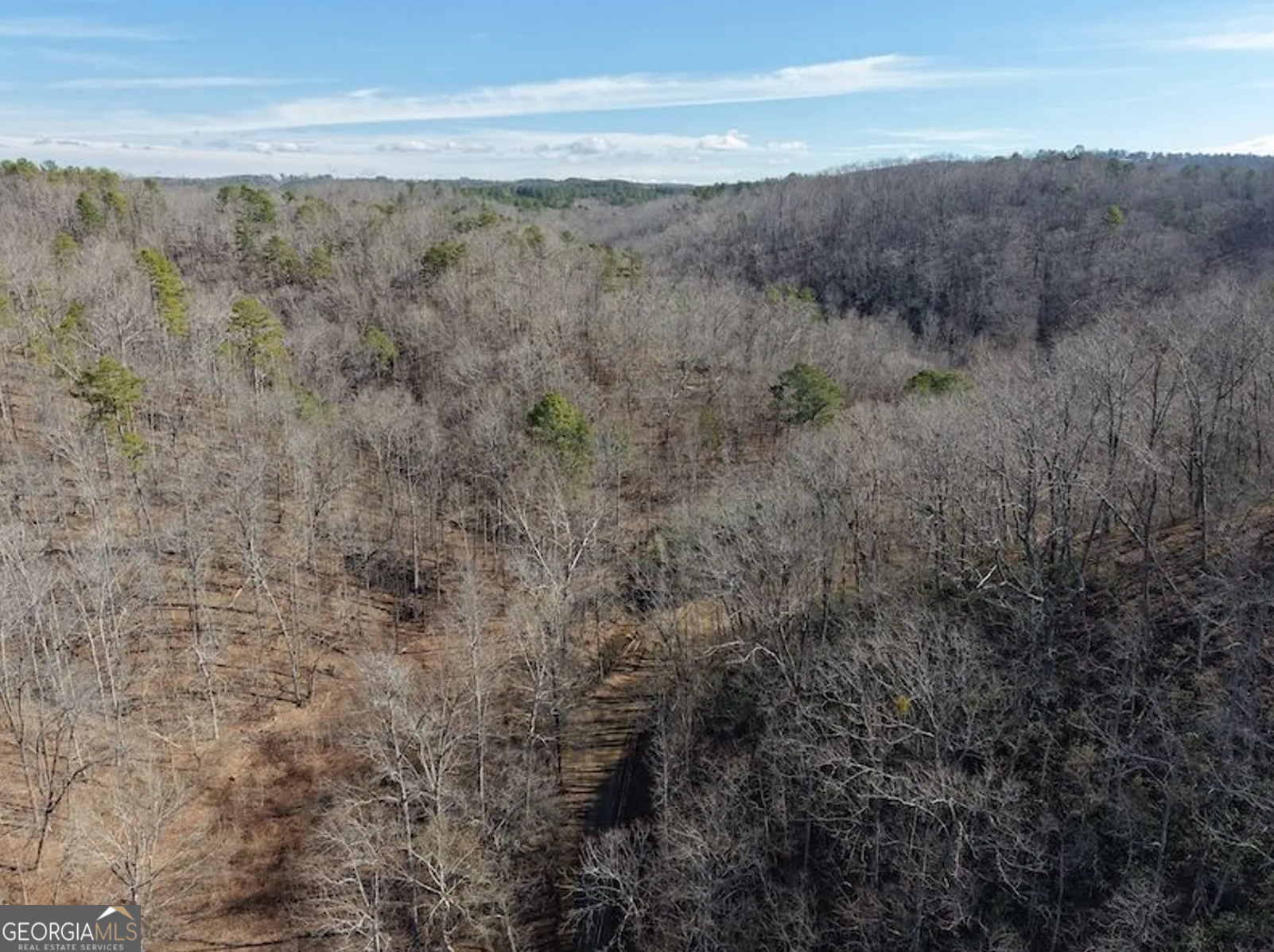 3 Rambling Road Fairmount, GA 30139 - Photo 13 of 17 a view of a dry yard with wooden floor and fence