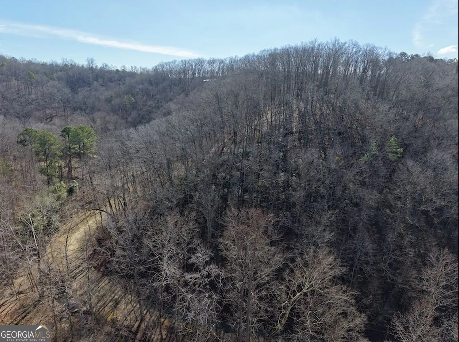 3 Rambling Road Fairmount, GA 30139 - Photo 14 of 17 a view of a forest with trees in the background