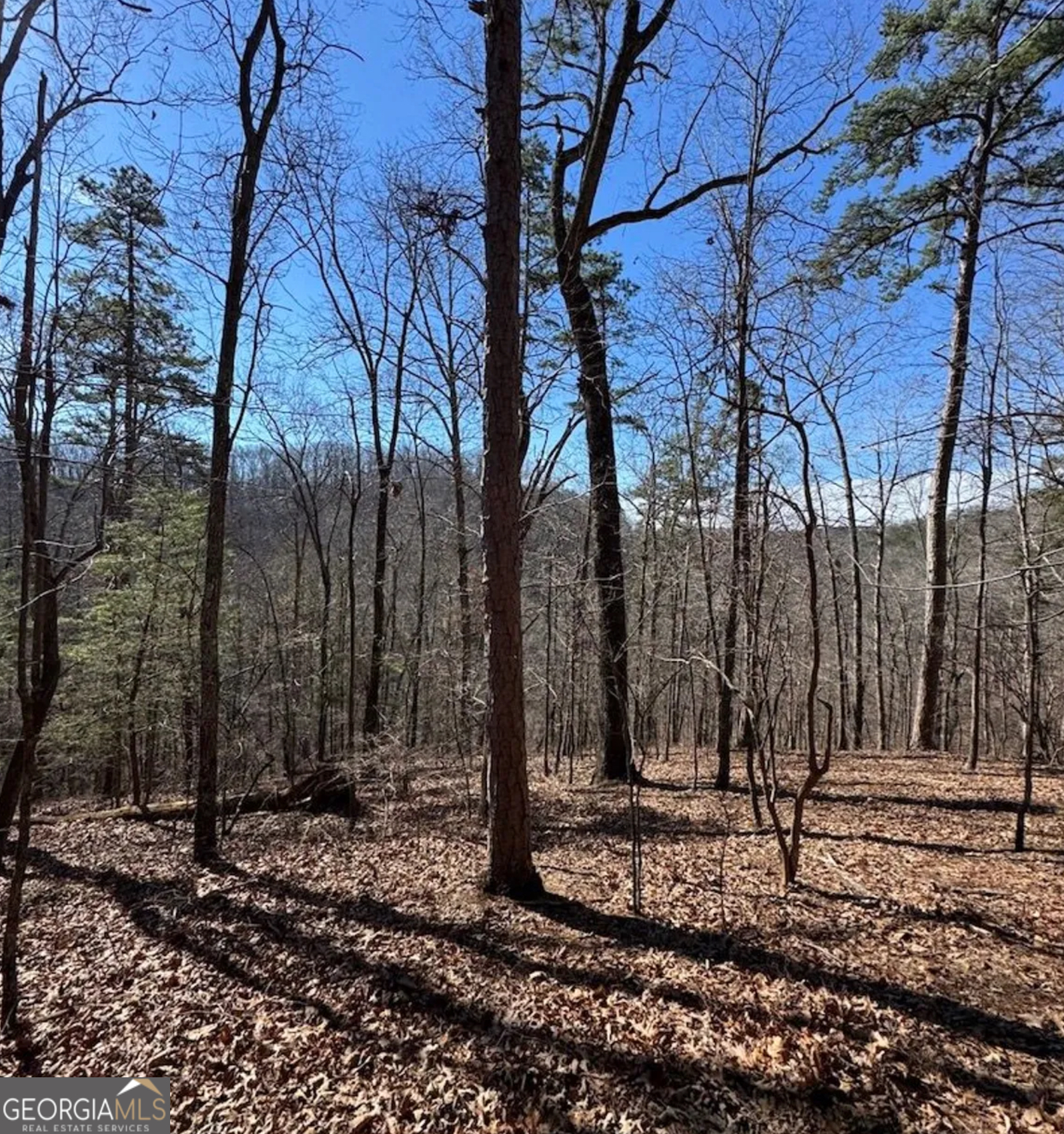 3 Rambling Road Fairmount, GA 30139 - Photo 16 of 17 a view of a backyard of the house
